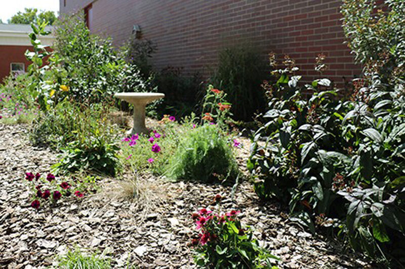 CCC- Aboretum Landscape award